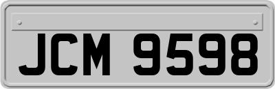 JCM9598