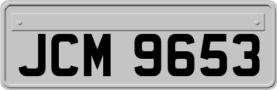 JCM9653