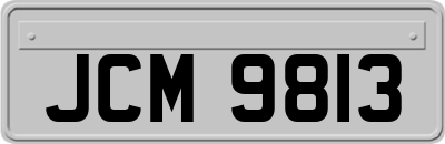 JCM9813