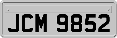 JCM9852