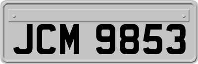 JCM9853