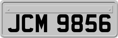 JCM9856