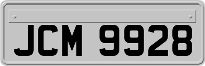 JCM9928