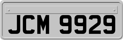 JCM9929