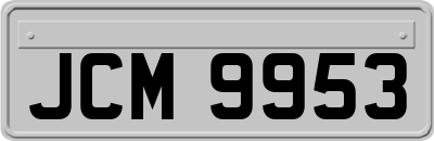 JCM9953