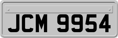 JCM9954