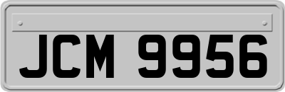 JCM9956