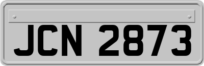 JCN2873