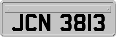 JCN3813