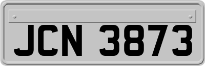 JCN3873