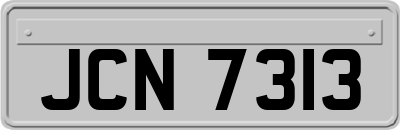 JCN7313