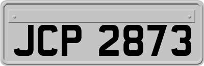 JCP2873