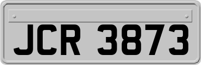 JCR3873