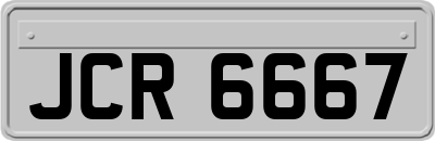 JCR6667