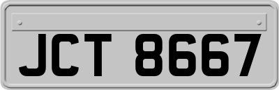 JCT8667