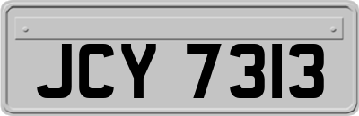 JCY7313