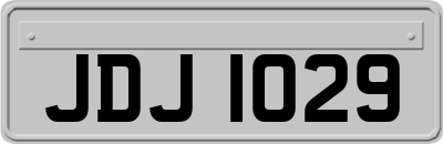 JDJ1029