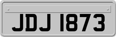 JDJ1873