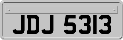 JDJ5313