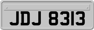 JDJ8313