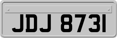 JDJ8731
