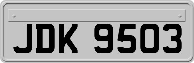 JDK9503