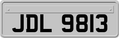 JDL9813