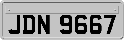 JDN9667