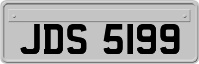 JDS5199