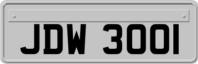 JDW3001