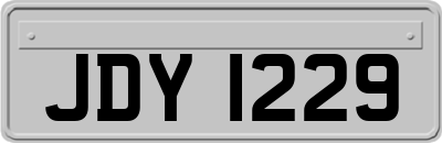 JDY1229