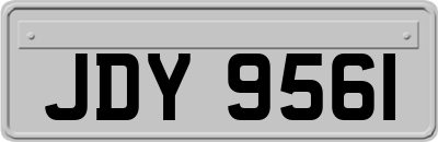 JDY9561