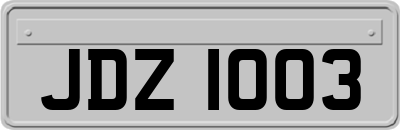 JDZ1003
