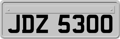 JDZ5300