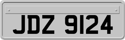 JDZ9124