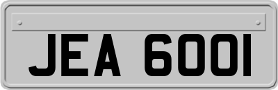 JEA6001