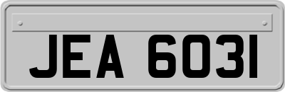 JEA6031