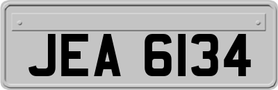 JEA6134