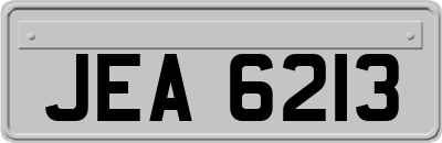 JEA6213