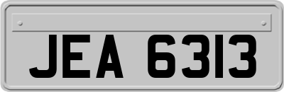 JEA6313