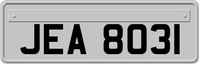 JEA8031