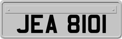 JEA8101