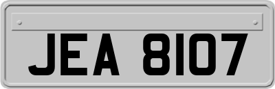 JEA8107