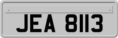 JEA8113