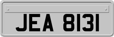 JEA8131