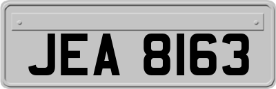 JEA8163