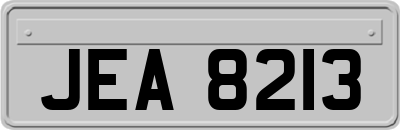 JEA8213