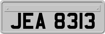 JEA8313