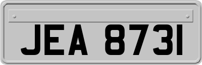 JEA8731