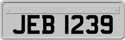 JEB1239